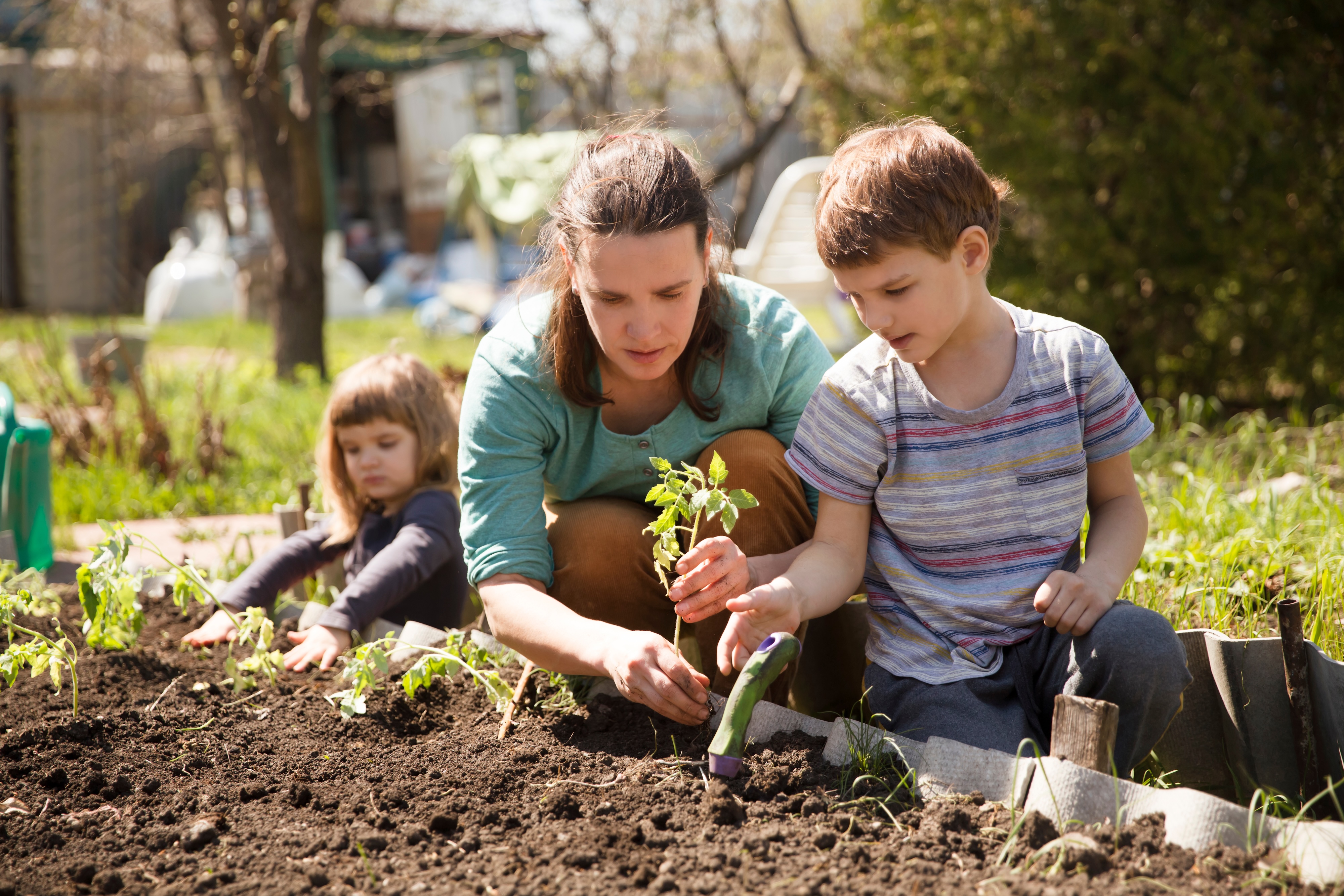 Mitglieder eines Kleingartenvereins pflanzen gemeinsam mit Kindern an einem sonnigen Tag junge Gemüsepflanzen in ein Beet.